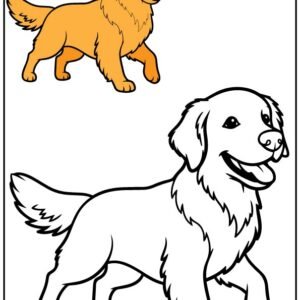 golden retriever coloring page